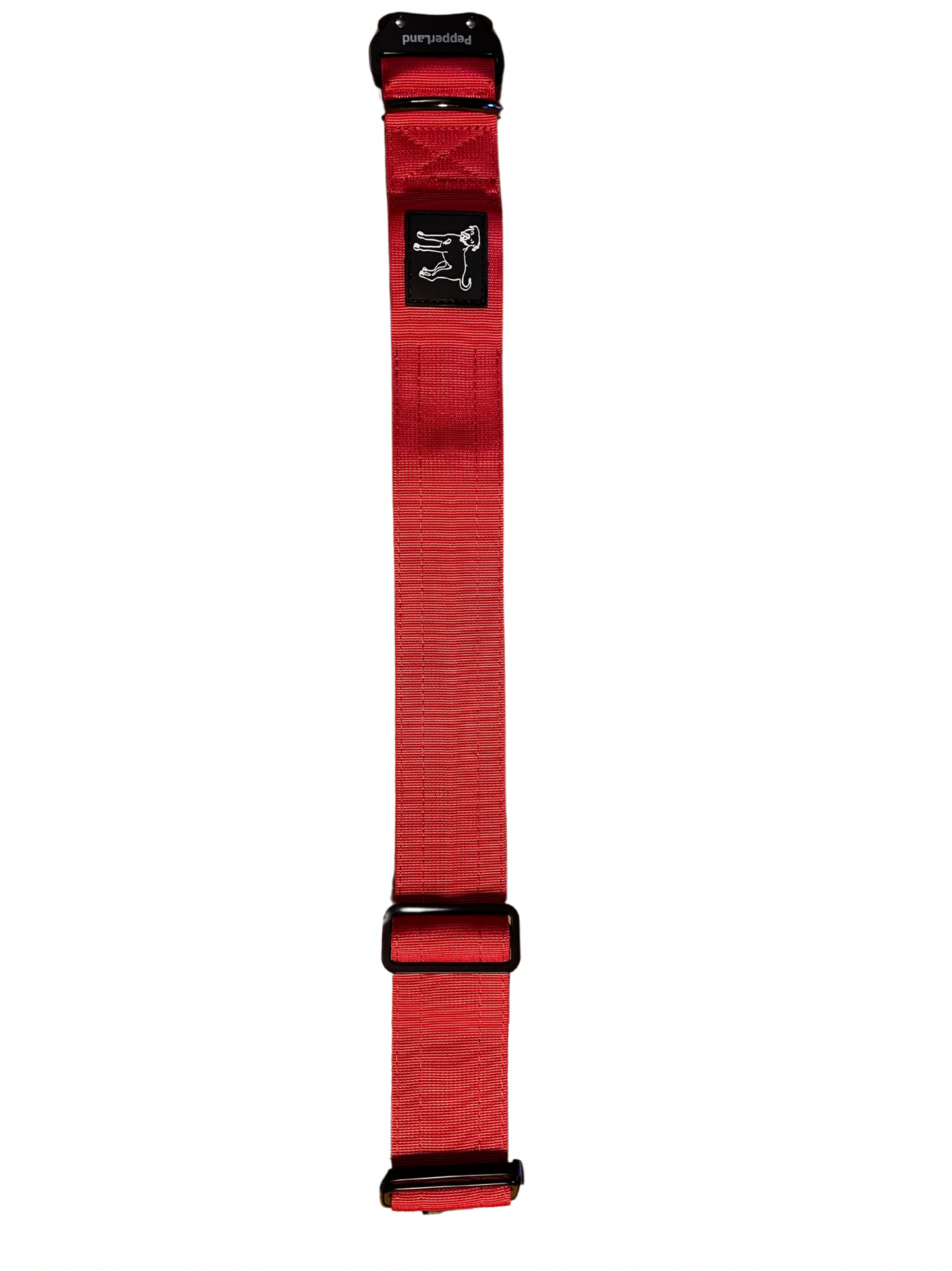 Collier tactique lumineux