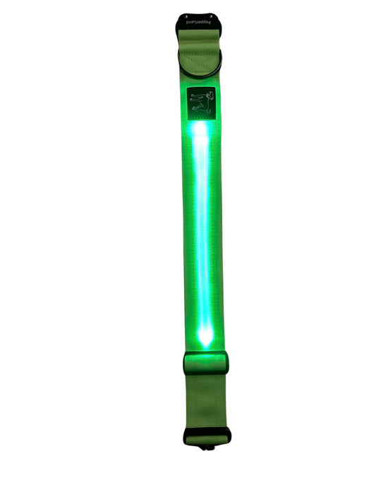 Collier tactique lumineux